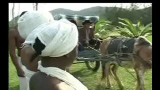 Như bãi biển, da senzala